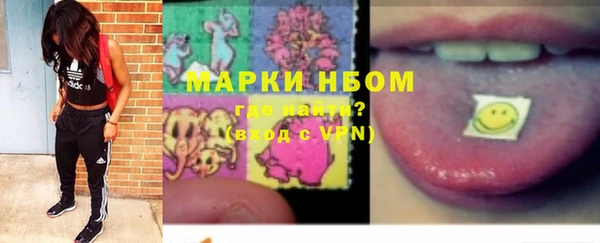 СК Алексин