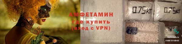 СК Алексин