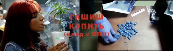 СК Алексин