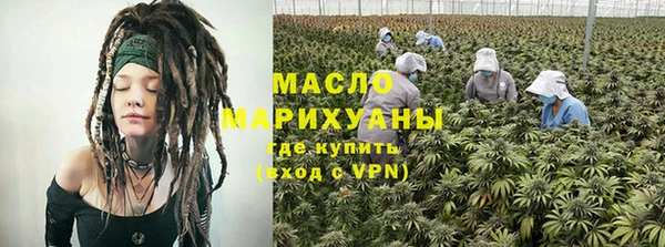 СК Алексин