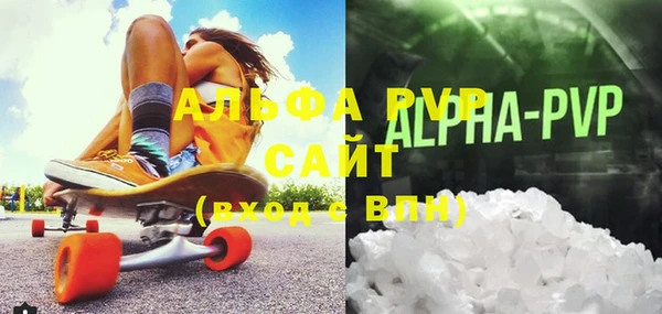 СК Алексин