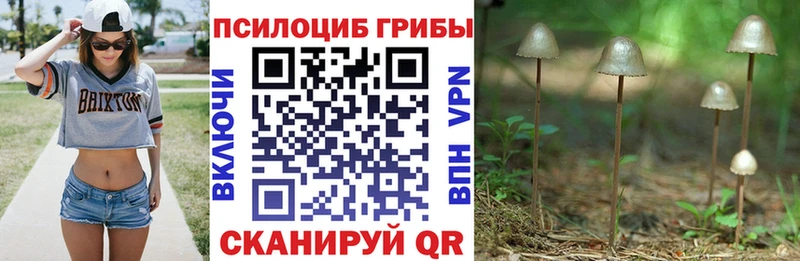 хочу   Тогучин  Галлюциногенные грибы ЛСД 